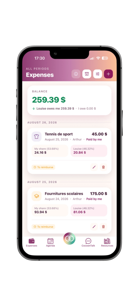 Image gestion des dépenses pour suivre le budget des parents séparés
